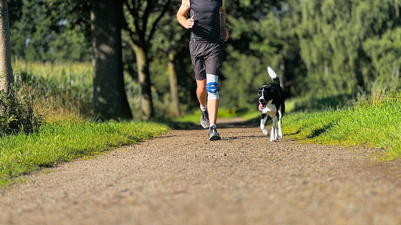 Laufkurs mit Hund